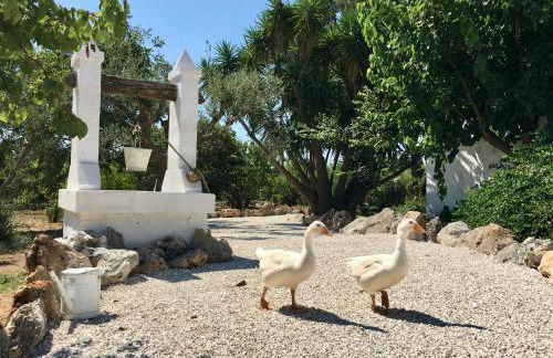 Masseria Principe di Puglia - Foto 12