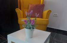 Apartmani Remete - Foto 45