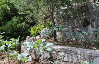 Apartments by the sea Kabli, Peljesac - 10221 - Photo 7