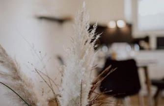 Taubergießen - Foto 12