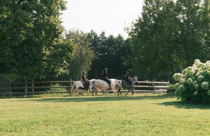 Maison Canadienne au bord du lac - Foto 24