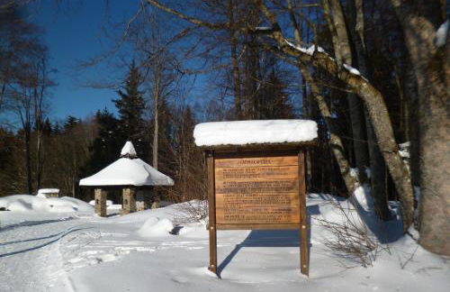 Ferienwohnungen Alpenblick mit Garten -Panoramasauna- - Foto 21