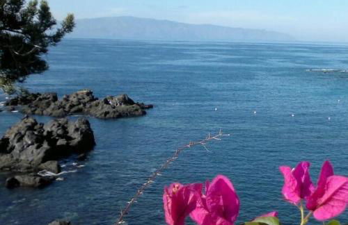 Family and Friends , Familienapartment Playa de San Juan - Foto 28