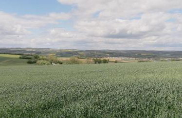 Wohnen mit Genuss - Foto 33