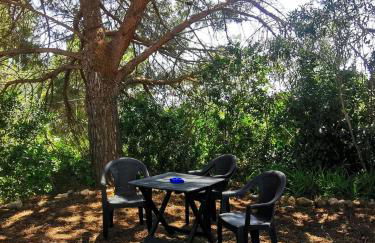 Casa Pineta - Foto 15