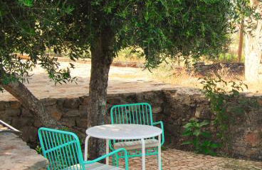 Quinta d'Abegoa - Photo 52