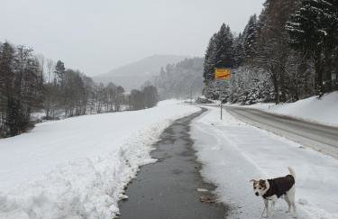 Ferienwohnung am Siegelbächle - Foto 16