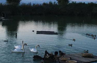 LA RIMESSA EXPERIENCE-Dream Holiday Home - Foto 12