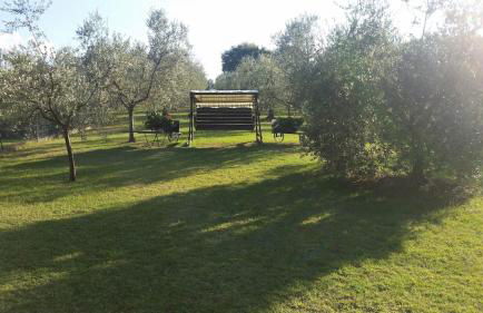 Agriturismo Podere Tresa - Photo 31