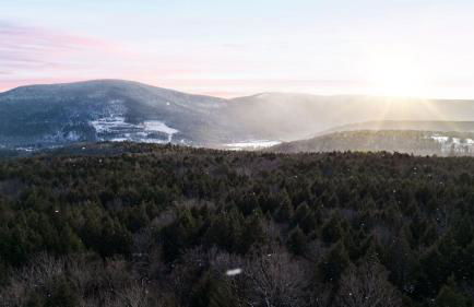 Catskills Mountain Home Near Windham w Fireplace Open Living Deer Run Lodge by AvantStay - Foto 42