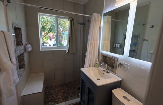 Paradise Hollywood Gardens - Photo 6