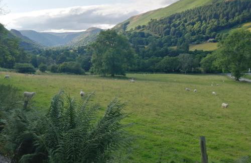 Cosy cottage in Snowdonia hamlet - Foto 40
