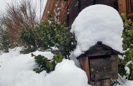 Les Picaillons - Le gîte - Foto 21