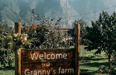 Granny's farm - Foto 38