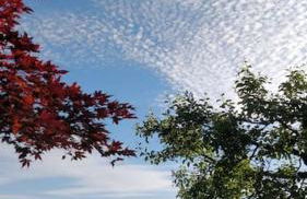 Ferienwohnung mit Garten und Bergblick - Foto 32