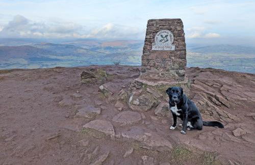 Trinity Cottage - Foto 13