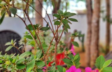 Morada dos Saguis - Foto 23