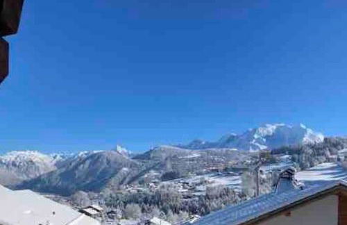 Renovated flat facing Mont Blanc - Photo 30