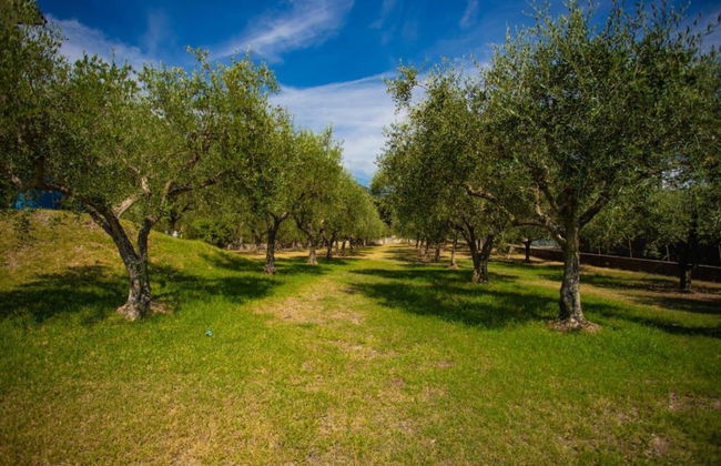 Residenza Giancesare Family Apartments - Foto 49