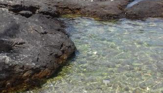 Apartments by the sea Prvic Luka, Prvic - 13845 - Foto 4