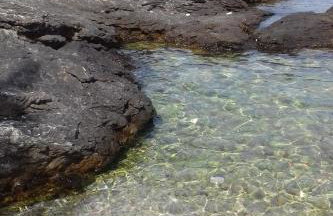 Apartments by the sea Prvic Luka, Prvic - 13845 - Foto 4