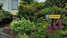 Jenny's Ferienwohnung - Foto 3, Garden, Garden view