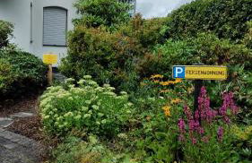 Jenny's Ferienwohnung - Foto 3