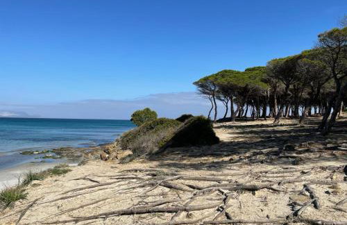 Sorres de Mare - Photo 22