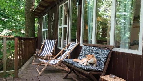 Ferienhaus Gädda - Foto 5