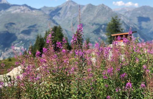 Les ARCS 1600 - SKI AUX PIEDS - MAGNIFIQUE DUPLEX 12 PERSONNES - Foto 64