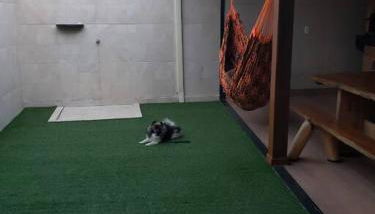 Linda casa 3 quartos Castelhanos ES - Foto 3