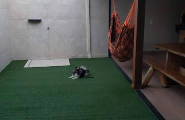 Linda casa 3 quartos Castelhanos ES - Foto 3