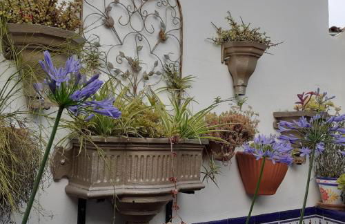 Casa de las Flores - a picture perfect location! - Foto 12