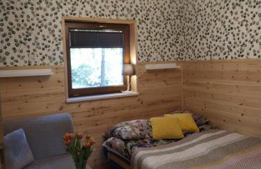 Domki przy jeziorze z prywatną plażą w Borach Tucholskich Pensjonat Alicja wczasy z dziećmi nowe luksusowe domki na skraju jeziora i lasu - Foto 31