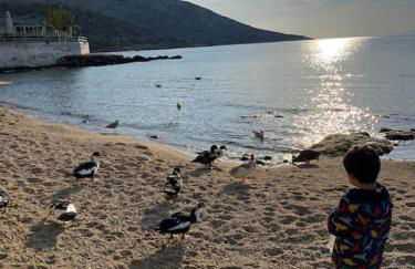 Dreamy relaxing secluded Villa Aurora - Foto 33