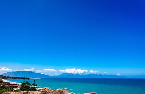 Butterfly House - Photo 5