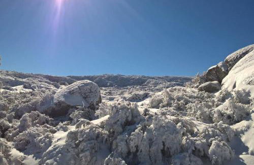 Casa Ferreira - Foto 26