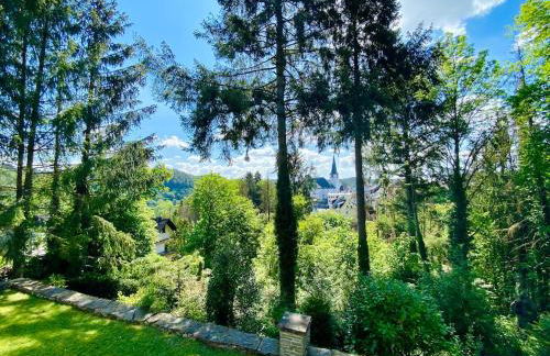 Maison Manderscheid, Vulkaneifel - Foto 20