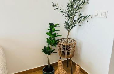 Casa Es Vedra - Photo 16