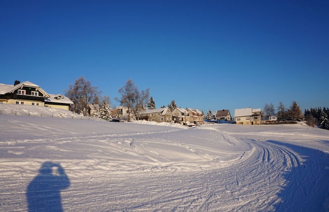 Fantastic Apartment in Frauenwald near Forest - Foto 38