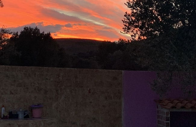 Ecological Studio Flat in Kalyvia Thorikou, Greece - Foto 22