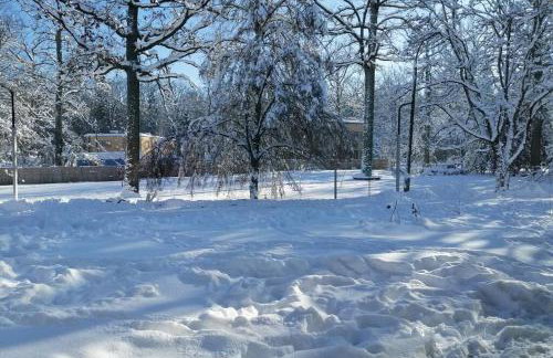 Apartament w Puszczy Białowieskiej - Foto 13