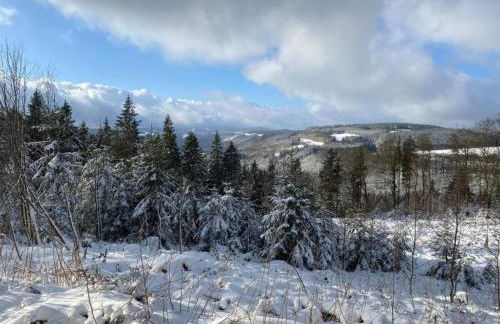 Group Getaway in Brilon-Wald - Foto 3