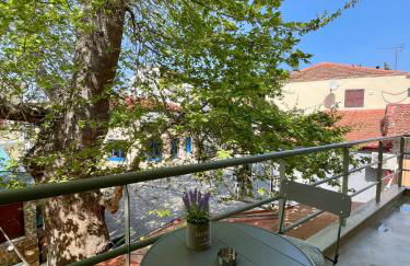 Plane Tree House - Foto 22