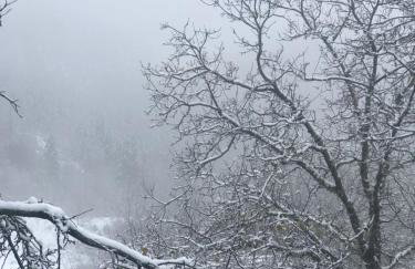 Πατρικό ολόκληρος ξενώνας entire stone guesthouse - Foto 27