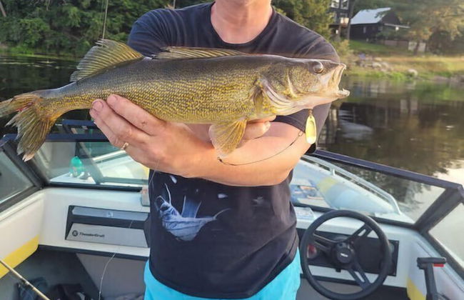 Muskoka Lake Cottages - Foto 51