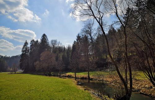 Panorama Ferienwohnungen Thiem - Foto 22
