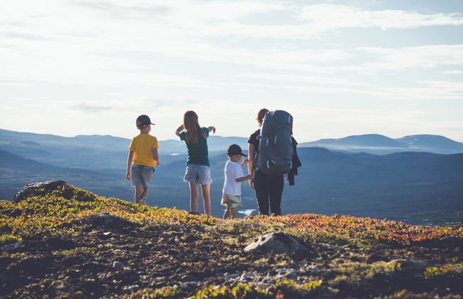 Tännäskröket - Foto 46