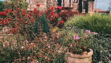 La Fuentona de Santillana - Foto 2