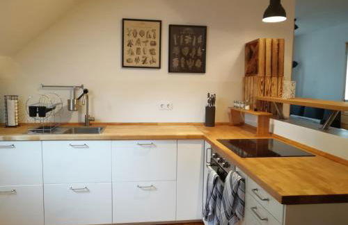 Schlossblick Apartment für 4 mit Küche Kamin Netflix Parken und Hofladen - Foto 1